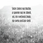 Nagrobna sveča Premium z rožnim motivom in verzom Solze žalost naj blažijo